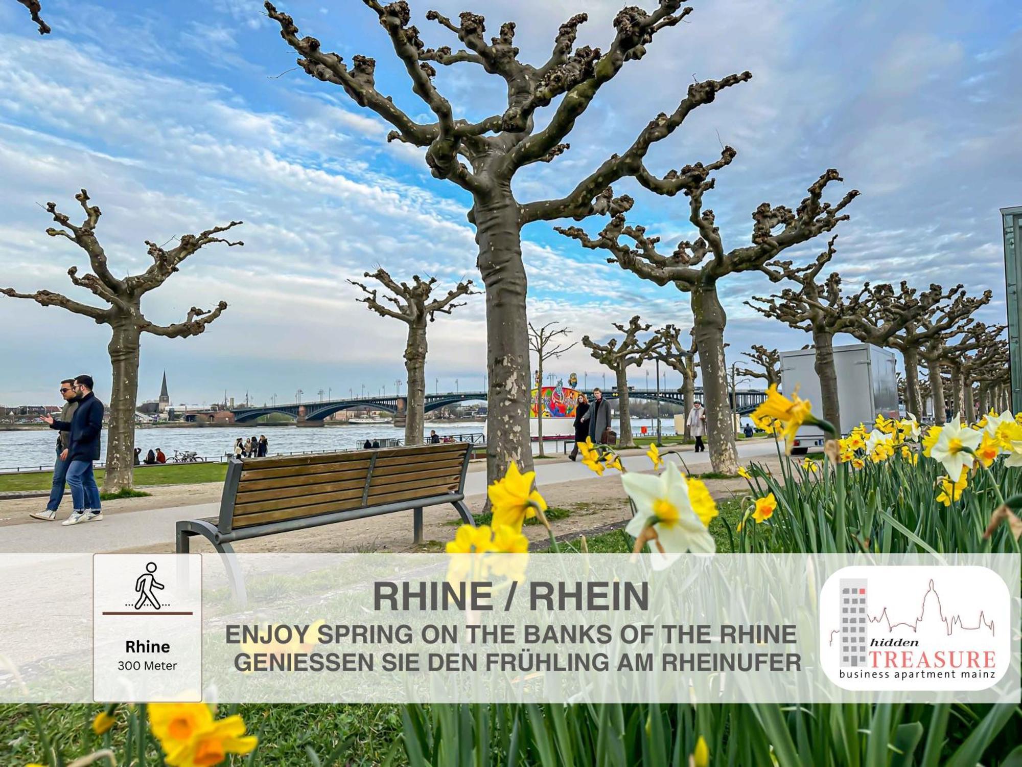 Hidden Treasure Business Apartment Mainz - Fantastic Rhine View In Center Of Mainz Old Town Exterior foto